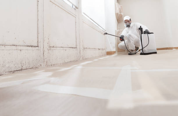 24/7 Emergency Commercial Mold Remediation experts in Franklinton, NC