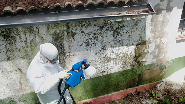 Top rated local Commercial Mold Remediation specialists in Franklinton, NC